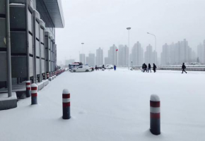 雪后溫情丨漢陽區(qū)會展辦領導帶頭鏟雪，為艾妮漫迷出行保駕護航