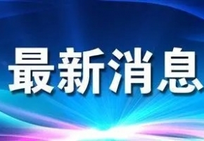 穩(wěn)增長(zhǎng) 促發(fā)展 強(qiáng)信心 | “箱”聚春天 “包”您滿意